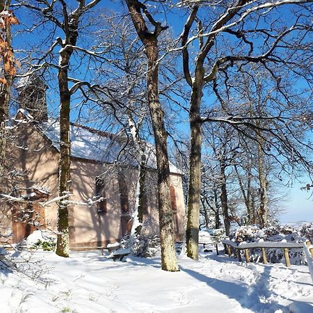 Gite "Le Platane" 45 M2 - Climatise Monswiller Εξωτερικό φωτογραφία