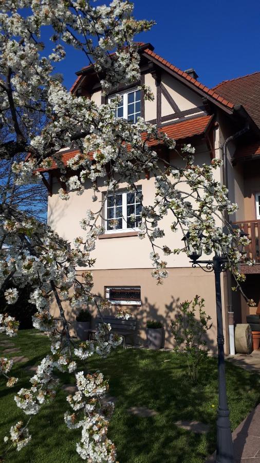 Gite "Le Platane" 45 M2 - Climatise Monswiller Εξωτερικό φωτογραφία