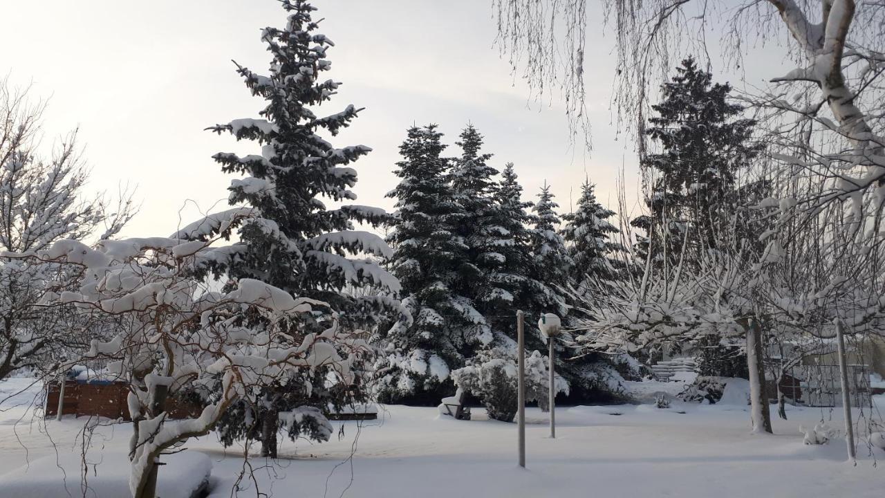 Gite "Le Platane" 45 M2 - Climatise Monswiller Εξωτερικό φωτογραφία