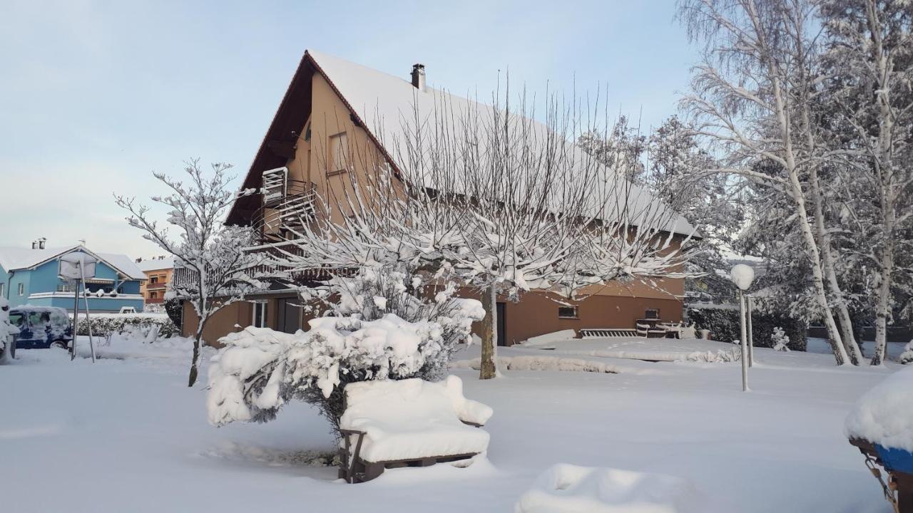 Gite "Le Platane" 45 M2 - Climatise Monswiller Εξωτερικό φωτογραφία