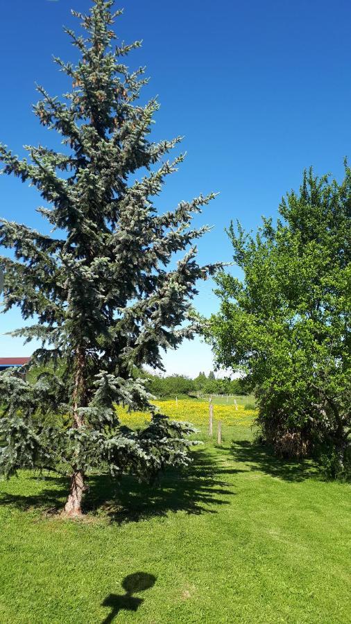 Gite "Le Platane" 45 M2 - Climatise Monswiller Εξωτερικό φωτογραφία
